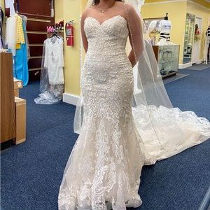 Gorgeous Wedding Dress w/ Veil!!!